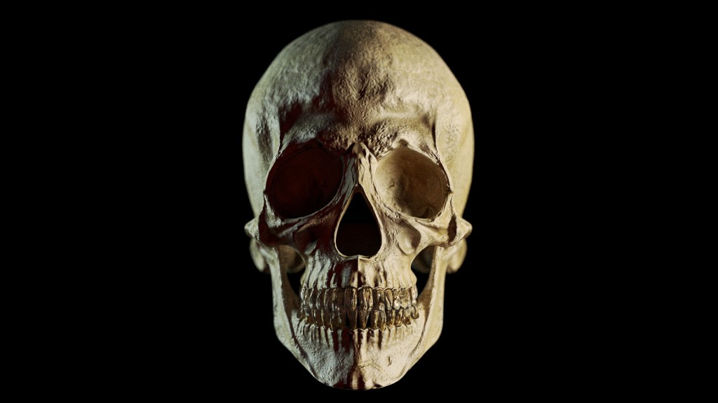 Skull preview image 1